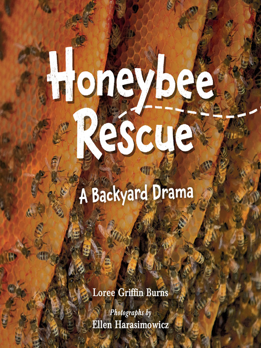 Title details for Honeybee Rescue by Loree Griffin Burns - Available